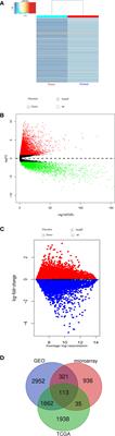 Microarray and bioinformatic analysis reveal the parental genes of m6A modified circRNAs as novel prognostic signatures in colorectal cancer